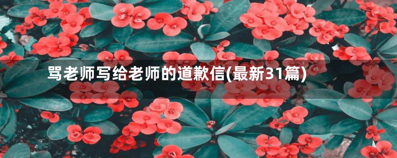 骂老师写给老师的道歉信(最新31篇)