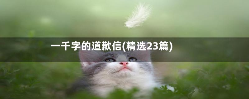 一千字的道歉信(精选23篇)