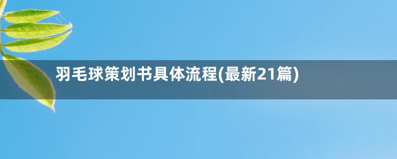 羽毛球策划书具体流程(最新21篇)