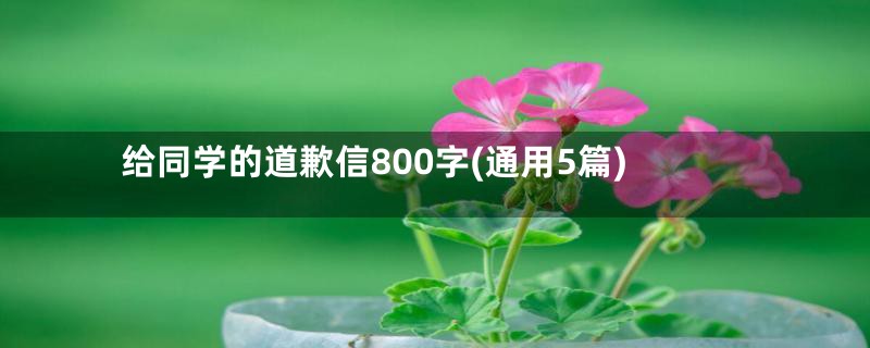 给同学的道歉信800字(通用5篇)