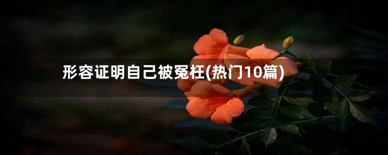 形容证明自己被冤枉(热门10篇)