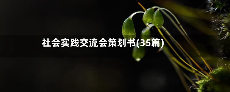 社会实践交流会策划书(35篇)