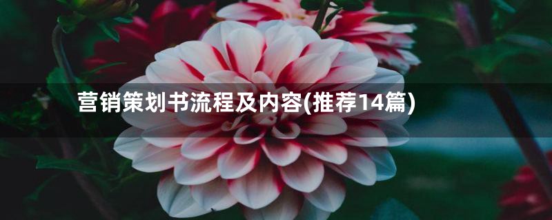 营销策划书流程及内容(推荐14篇)