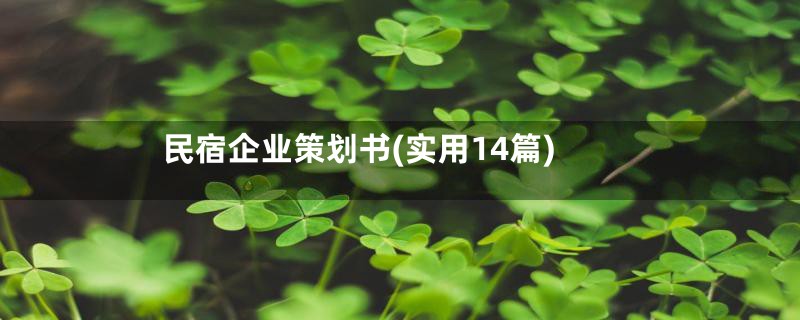 民宿企业策划书(实用14篇)