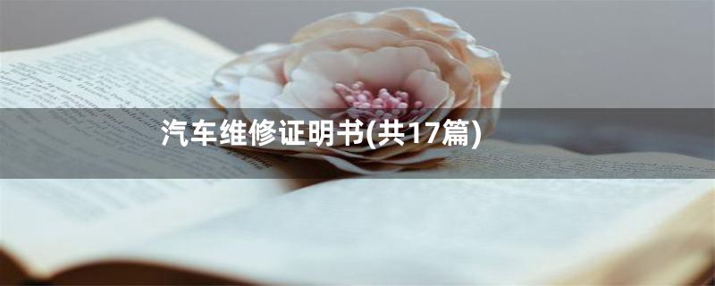 汽车维修证明书(共17篇)