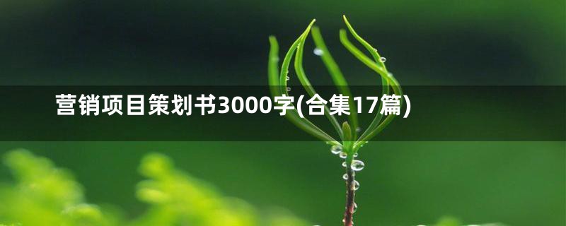 营销项目策划书3000字(合集17篇)