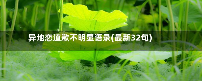 异地恋道歉不明显语录(最新32句)