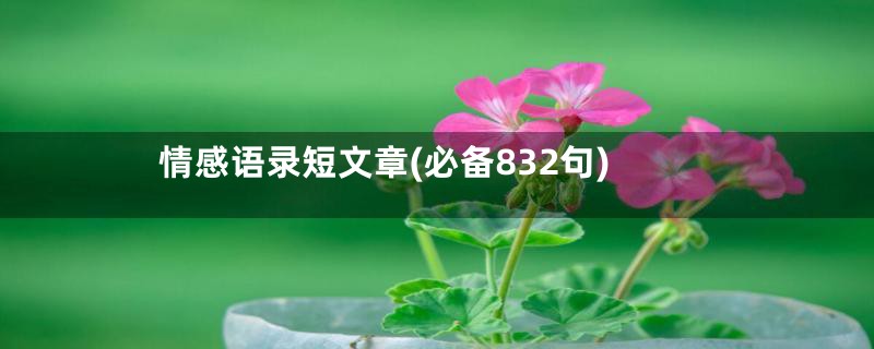 情感语录短文章(必备832句)