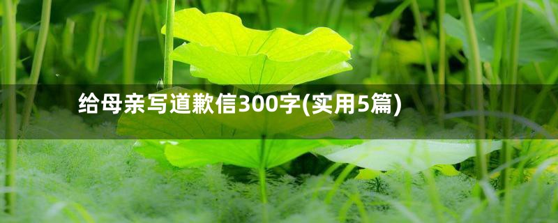 给母亲写道歉信300字(实用5篇)