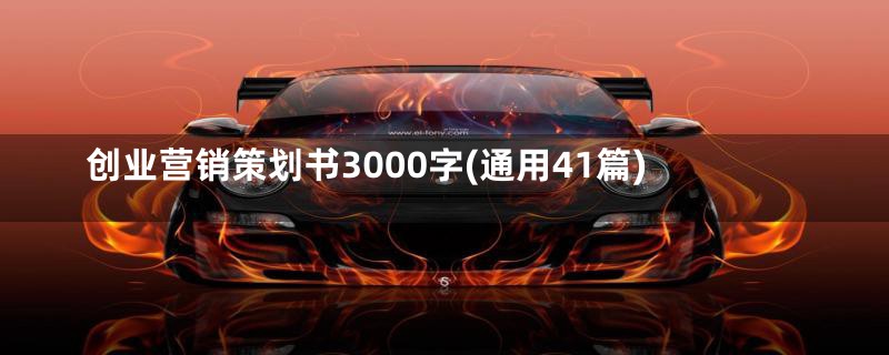 创业营销策划书3000字(通用41篇)