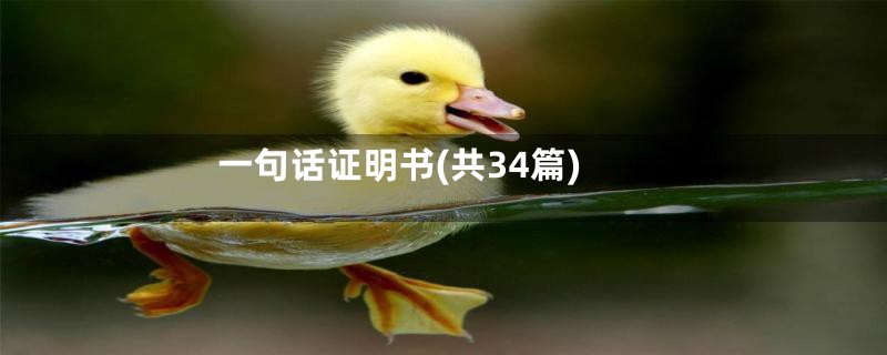 一句话证明书(共34篇)