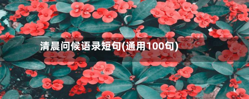 清晨问候语录短句(通用100句)