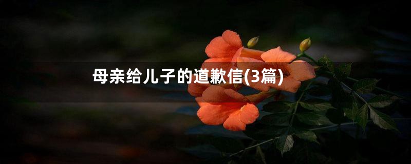 母亲给儿子的道歉信(3篇)