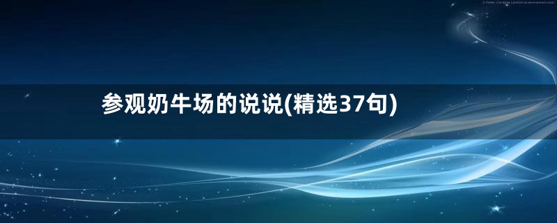 参观奶牛场的说说(精选37句)