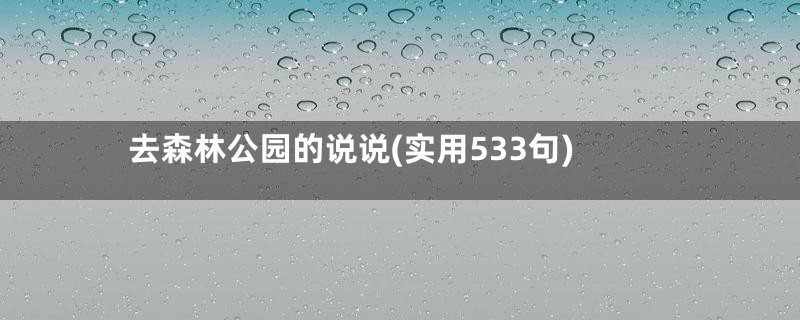 去森林公园的说说(实用533句)