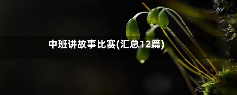 中班讲故事比赛(汇总12篇)