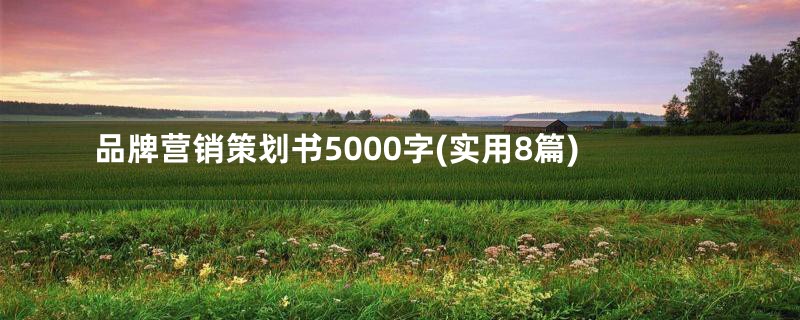 品牌营销策划书5000字(实用8篇)