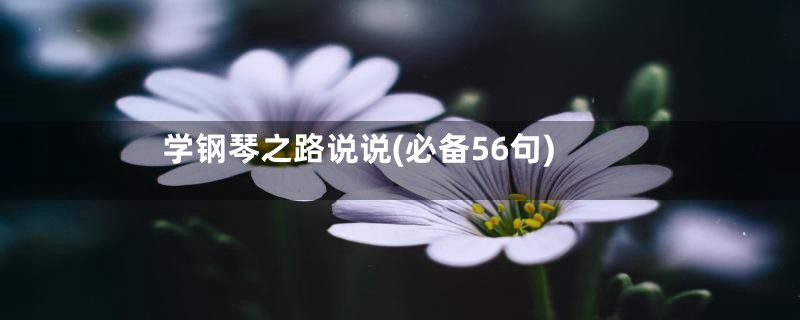 学钢琴之路说说(必备56句)