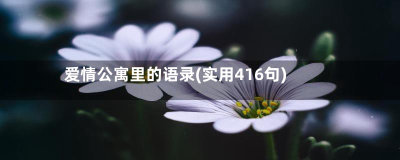 爱情公寓里的语录(实用416句)