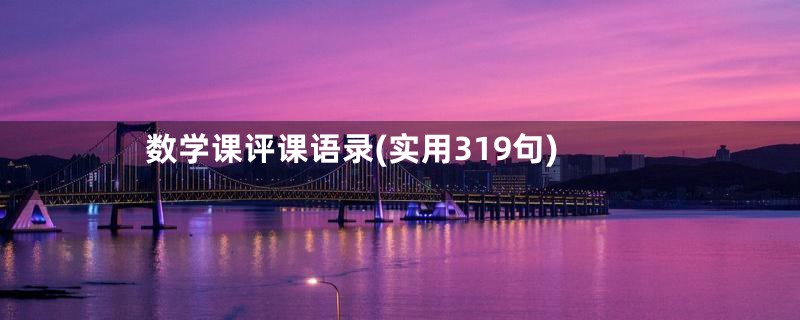 数学课评课语录(实用319句)