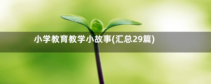 小学教育教学小故事(汇总29篇)