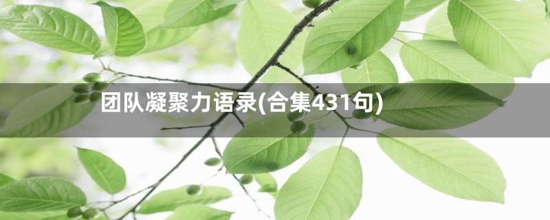 团队凝聚力语录(合集431句)