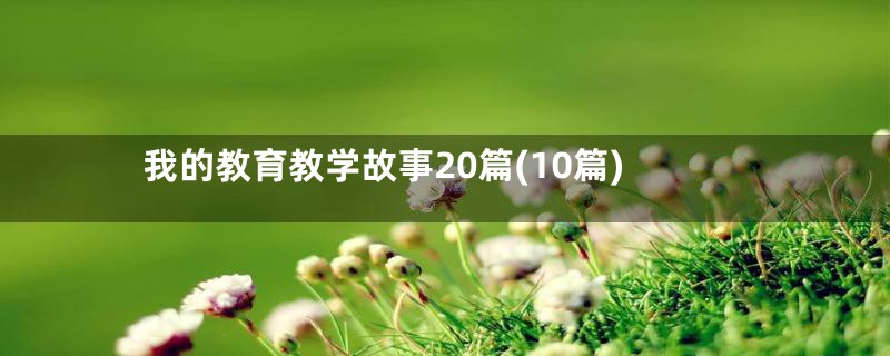 我的教育教学故事20篇(10篇)