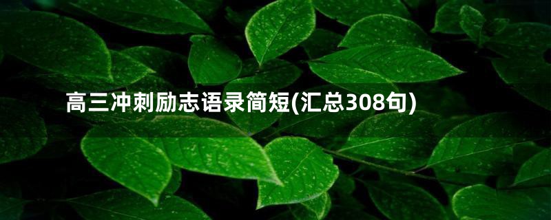 高三冲刺励志语录简短(汇总308句)