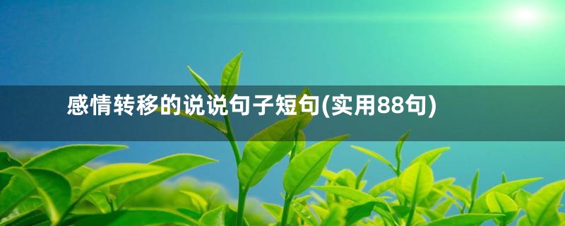 感情转移的说说句子短句(实用88句)