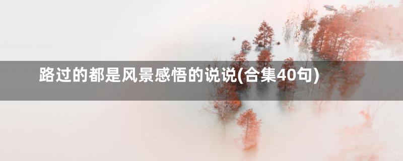 路过的都是风景感悟的说说(合集40句)