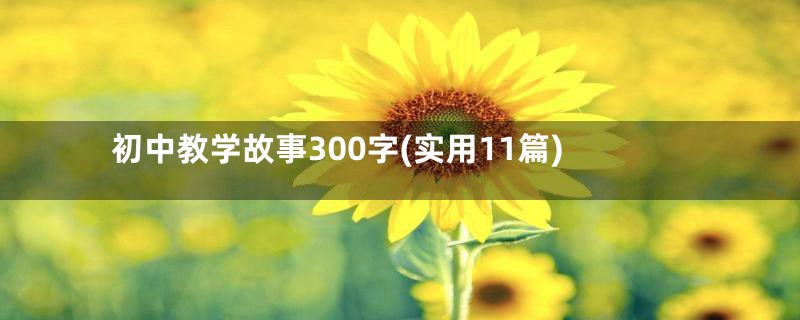 初中教学故事300字(实用11篇)