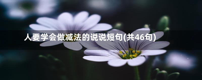 人要学会做减法的说说短句(共46句)