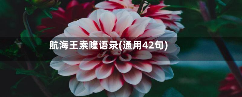 航海王索隆语录(通用42句)